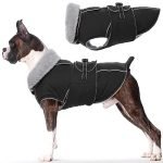Best Dog Jackets for Winter: Top Waterproof, Warm, and Reflective Picks