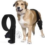 Best Dog Knee Brace for Torn Acl: Top Supportive Braces Reviewed