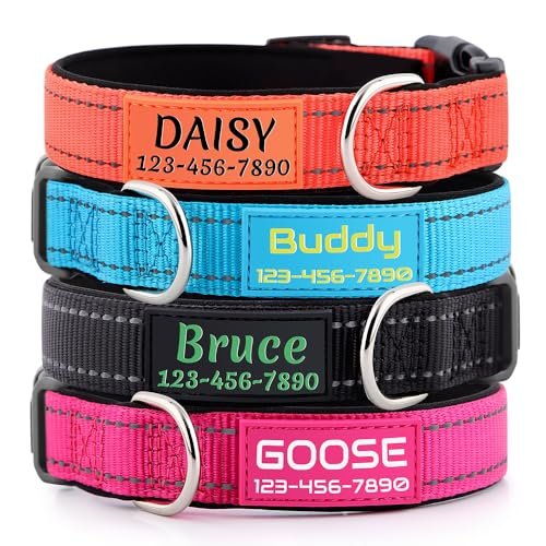 Best Dog Male Names Paired with Custom Personalized Collars for Style