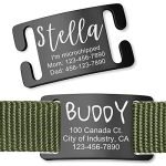 Best Dog Names for a Black Dog with Stylish Personalized ID Tags
