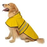 Best Dog Raincoat: Top Waterproof Jackets for All Sizes and Breeds