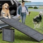 Best Dog Ramp for Large Dogs: Portable, Non-Slip, and Durable Choices