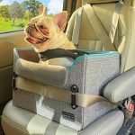 Best Dog Seats for Cars: Top Small Dog Booster Seats with Safety Belts