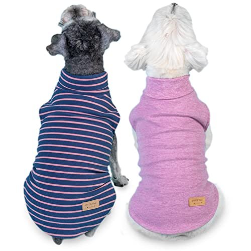 Best Dog Sweater Picks for Warmth, Comfort, and Style