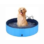 Best Dog Swimming Pools for Safe, Fun, and Easy Pet Cooling 2025