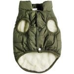 Best Dog Winter Coats for Small to Large Breeds: Warm & Waterproof Picks
