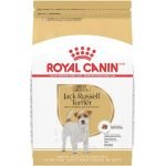 Best Dry Dog Food for Jack Russell Weiner Dog: Top Small Breed Picks