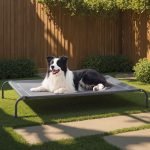 Best Elevated Dog Bed for Large Dogs: Durable, Cooling, and Portable Choices