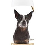 Best Food for Australian Cattle Dog: Top Nutritious Picks and Supplements