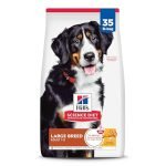 Best Food for Large Breed Dogs: Top Nutrient-Rich Dry Dog Foods Reviewed