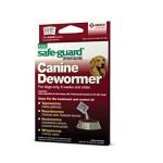 Best Guard Dogs Products for Ultimate Protection and Care Solutions