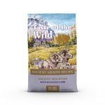 Best Grains for Dogs: Top Nutritious Dry Dog Food Choices Reviewed