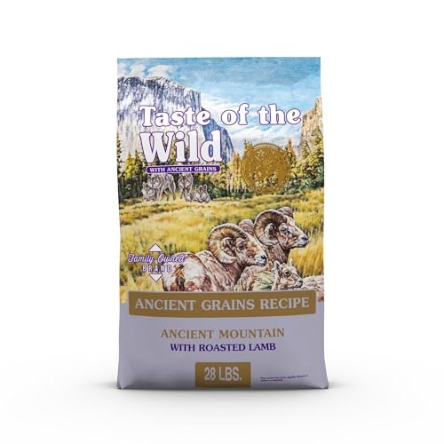 Best Grains for Dogs: Top Nutritious Dry Dog Food Choices Reviewed