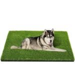 Best Grass for Dogs: Top Artificial and Real Turf Solutions Reviewed