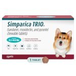 Best Heartworm Medication for Dogs: Top Effective Treatments Reviewed