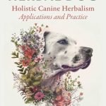 Best Herbs for Dogs to Boost Immunity, Joint Health, and Wellness