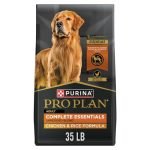 Best High Protein Dog Food for Strong, Healthy, and Active Dogs