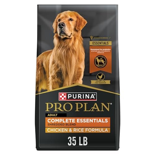 Best High Protein Dog Food for Strong, Healthy, and Active Dogs