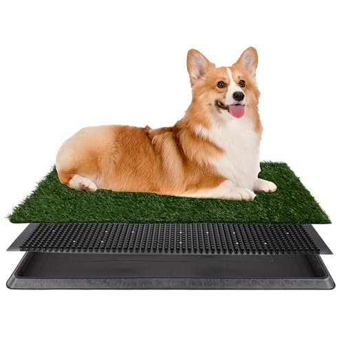 Best Indoor Grass Pad for Dogs: Top Reusable Potty Training Solutions