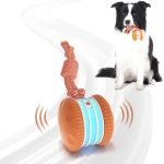 Best Interactive Dog Toys for Endless Fun and Mental Stimulation