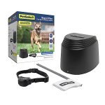 Best Invisible Dog Fence for Secure, No-Dig, Wireless Pet Containment