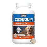 Best Joint Supplements for Dogs to Support Healthy, Active Lifestyles