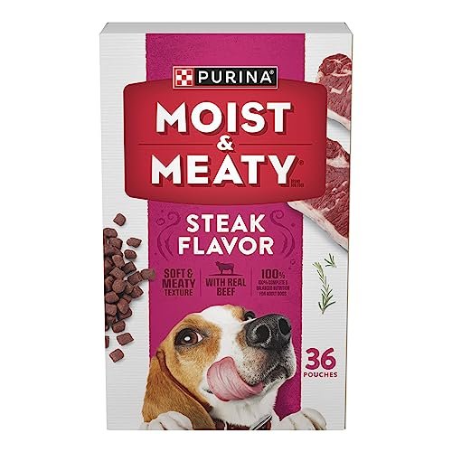 Best Moist Dog Food for Older Dogs: Top Tasty Soft Food Picks