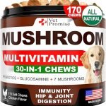 Best Mushrooms for Dogs: Top Immune and Joint Health Supplements