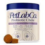 Best Probiotic Chews for Dogs to Boost Digestion and Immunity