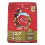Best Purina Dog Food Options for Healthy and Happy Dogs