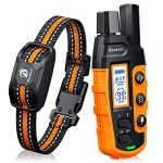 Best Rated Dog Training Collar for Effective and Safe Dog Obedience