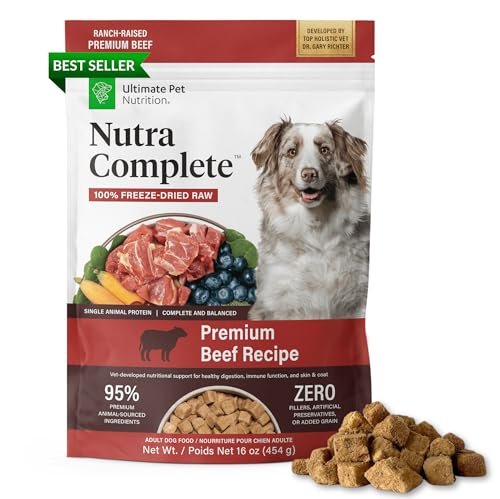 Best Raw Dog Food Options for High-Protein, Grain-Free Nutrition