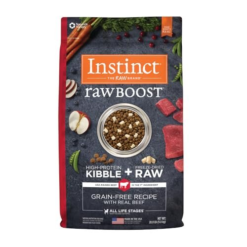 Best Raw Food for Dogs: Top Freeze-Dried & Grain-Free Nutrition Choices