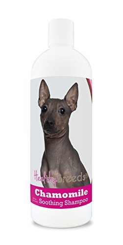 Best Shampoo for Hairless Dogs: Top Soothing and Moisturizing Picks