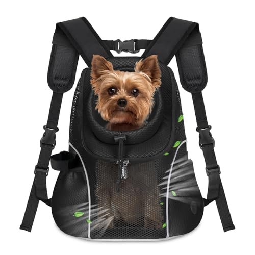 Best Small Dog Backpack Carrier