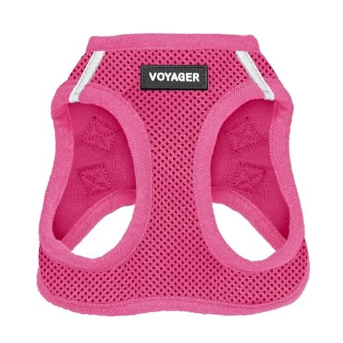 Best Small Dog Harness for Comfort, Control, and Safety on Walks