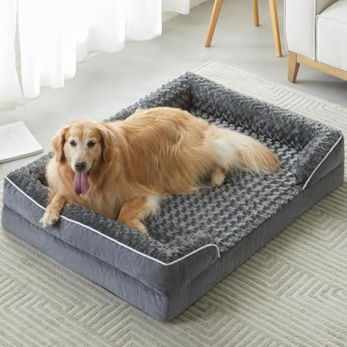 Best Sofa for Dog Owners: Top Durable and Cozy Pet Couch Picks