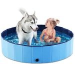 Best Swimming Pool for Dogs: Top Foldable and Portable Pools Reviewed 2025