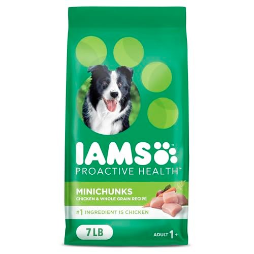 Best Tasting Dog Food Options Your Pup Will Absolutely Love