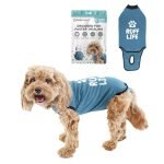 Best Time to Neuter a Dog: Post-Op Care with Recovery Suits
