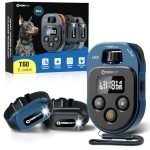 Best Training Collar for Dogs: Top Waterproof, Adjustable Remote Models Reviewed