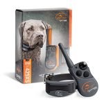 Best Training Collar for Stubborn Dogs: Top Waterproof Remote Options