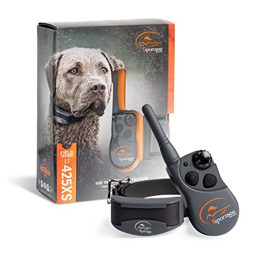 Best Training Collar for Stubborn Dogs: Top Waterproof Remote Options