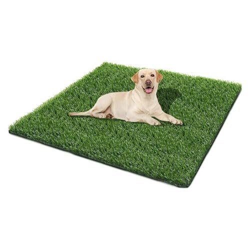 Best Turf for Dogs: Top Artificial Grass Pads for Easy Potty Training