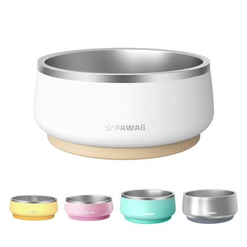 Best Water Bowls for Dogs: Top No-Spill, Durable, and Large Capacity Picks