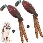 Bird Dog Training Supplies: Essential Gear for Success