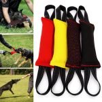 Bite Training for Dogs: Mastering Safe Techniques