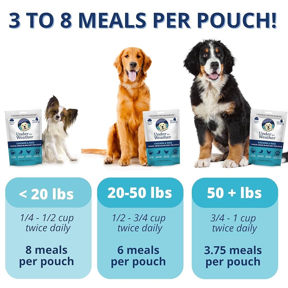 Bland Diet Dogs: Essential Tips for Optimal Health