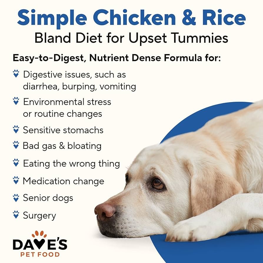 Bland Diet for Dogs After Vomiting: Quick Recovery Tips