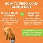 Bland Diet for Dogs With Upset Stomach: Ultimate Guide